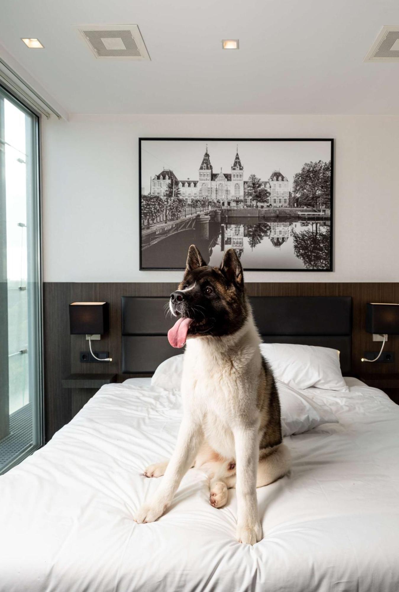 Radisson Hotel & Suites Amsterdam South Amstelveen Esterno foto
